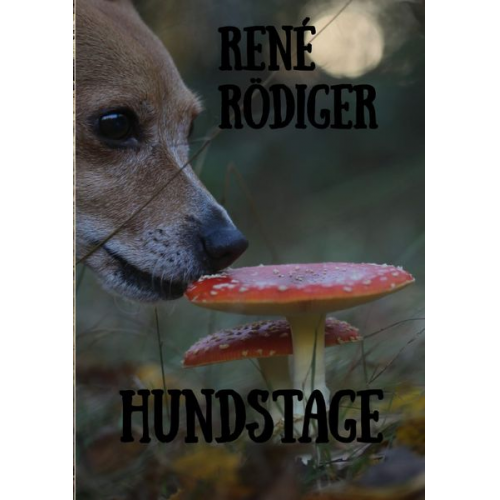 René Rödiger - Hundstage