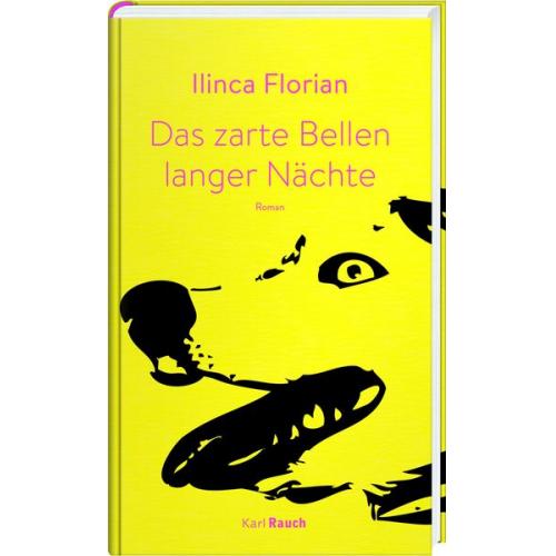 Ilinca Florian - Das zarte Bellen langer Nächte