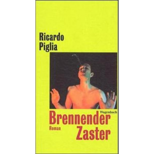 Ricardo Piglia - Brennender Zaster