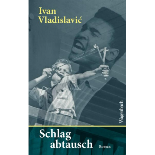 Ivan Vladislavić - Schlagabtausch