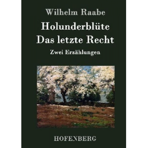 Wilhelm Raabe - Holunderblüte / Das letzte Recht