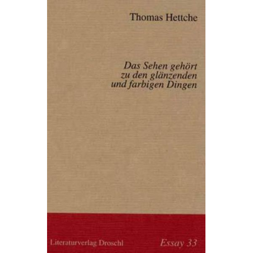 Thomas Hettche - Das Sehen gehört zu den glänzenden und farbigen Dingen