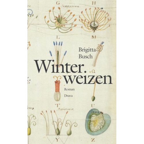 Brigitta Busch - Winterweizen