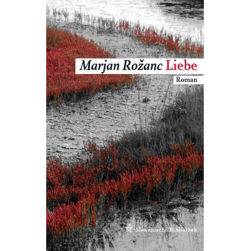 Marjan Rožanc - Liebe