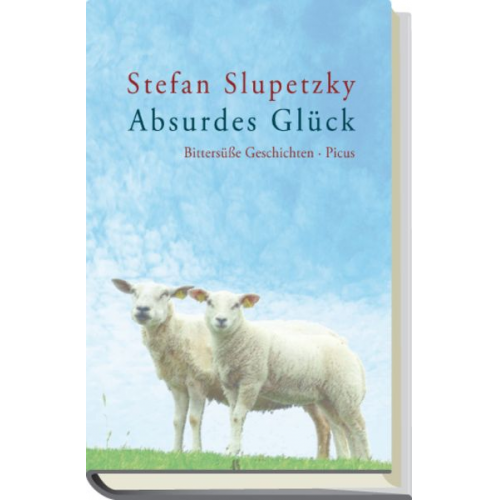 Stefan Slupetzky - Absurdes Glück