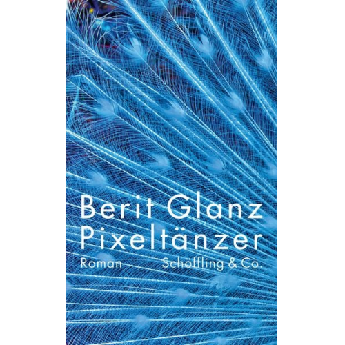 Berit Glanz - Pixeltänzer