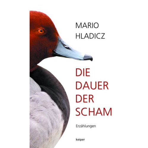 Mario Hladicz - Die Dauer der Scham