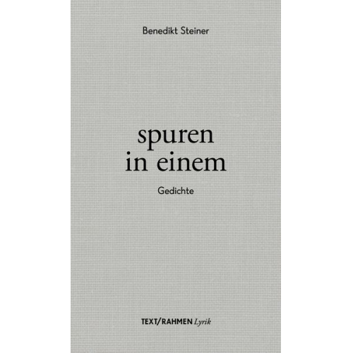 Benedikt Steiner - Spuren in einem