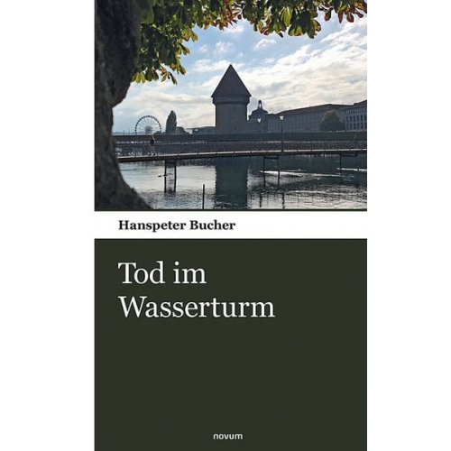 Hanspeter Bucher - Tod im Wasserturm