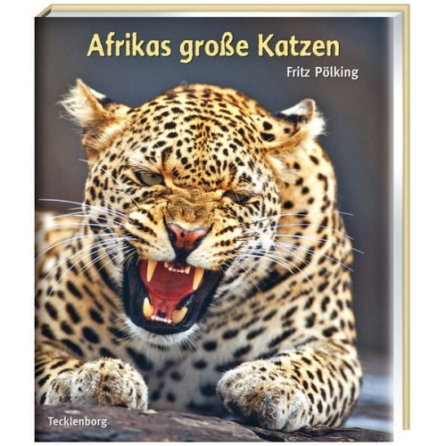 Fritz Pölking - Afrikas große Katzen