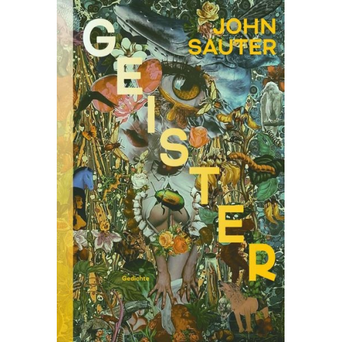 John Sauter - Geister