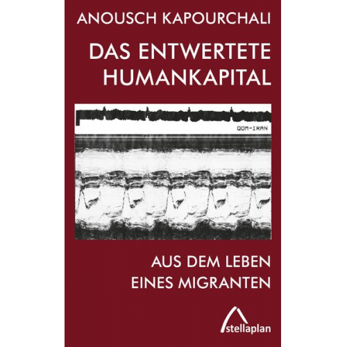 Anousch Kapourchali - Das entwertete Humankapital