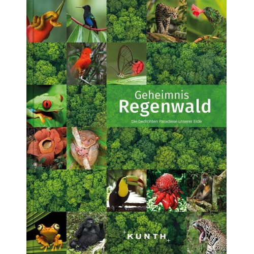 KUNTH Bildband Geheimnis Regenwald