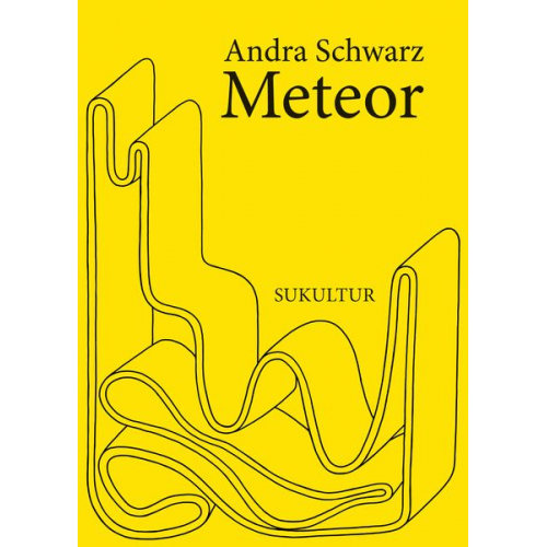 Andra Schwarz - Meteor