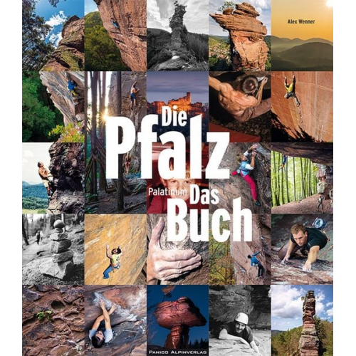 Alex Wenner - Die Pfalz. Das Buch. Palatinum