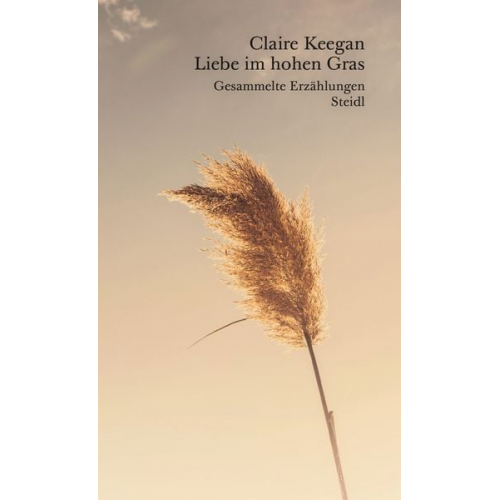 Claire Keegan - Liebe im hohen Gras