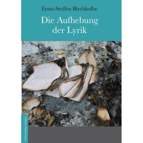 Ernst-Steffen Blechkolbe - Die Aufhebung der Lyrik