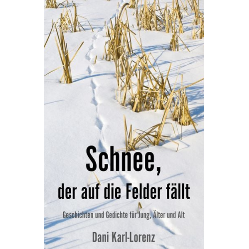 Dani Karl-Lorenz - Schnee, der auf die Felder fällt