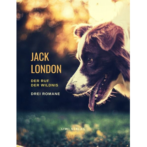 Jack London - Der Ruf der Wildnis - Drei Romane