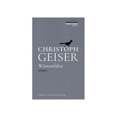 Christoph Geiser - Wüstenfahrt