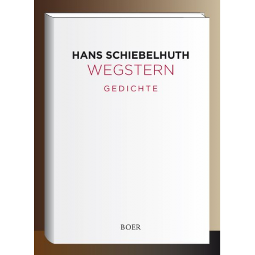 Hans Schiebelhuth - Wegstern