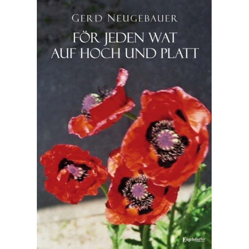 Gerd Neugebauer - För jeden wat auf Hoch und Platt