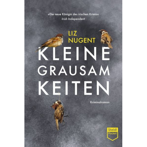 Liz Nugent - Kleine Grausamkeiten (Steidl Pocket)