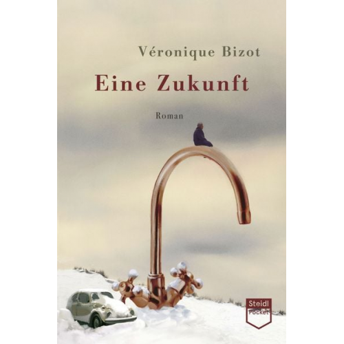 Véronique Bizot - Eine Zukunft (Steidl Pocket)