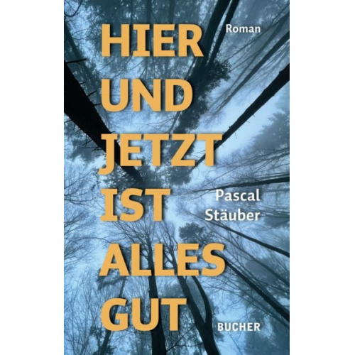 Pascal Stäuber - Hier und jetzt ist alles gut