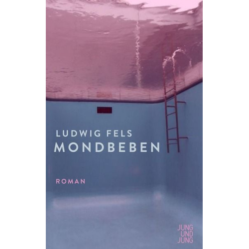 Ludwig Fels - Mondbeben