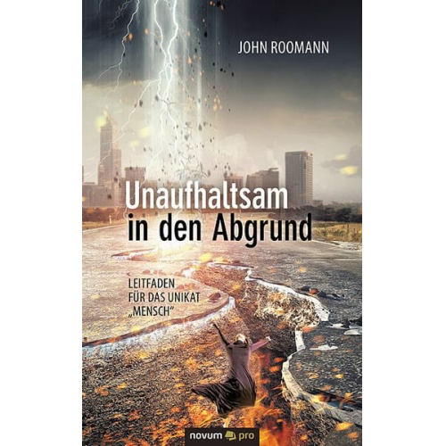 John Roomann - Unaufhaltsam in den Abgrund