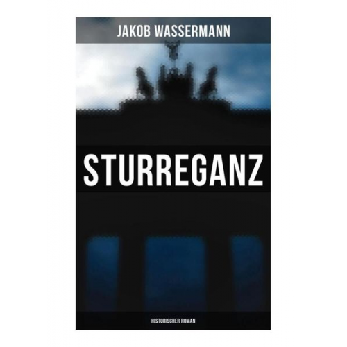 Jakob Wassermann - Sturreganz: Historischer Roman