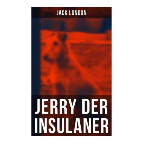 Jack London - Jerry der Insulaner