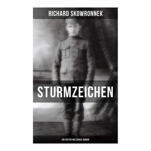 Richard Skowronnek - Sturmzeichen (Ein Erster-Weltkrieg-Roman)