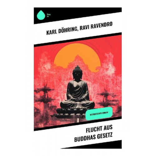 Karl Döhring Ravi Ravendro - Flucht aus Buddhas Gesetz