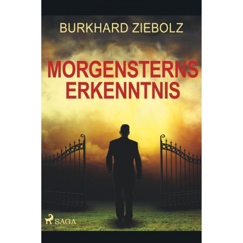 Burkhard Ziebolz - Morgensterns Erkenntnis - Kriminalroman aus Niedersachsen