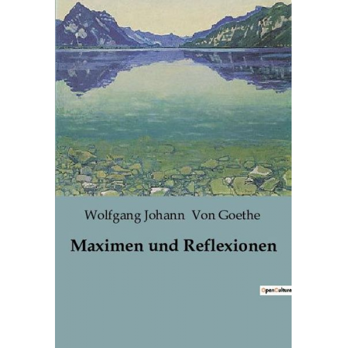 Wolfgang Johann Goethe - Maximen und Reflexionen