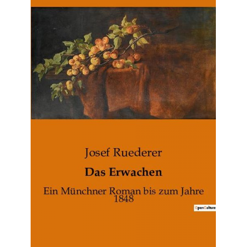 Josef Ruederer - Das Erwachen