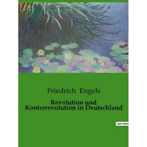 Friedrich Engels - Revolution und Konterrevolution in Deutschland