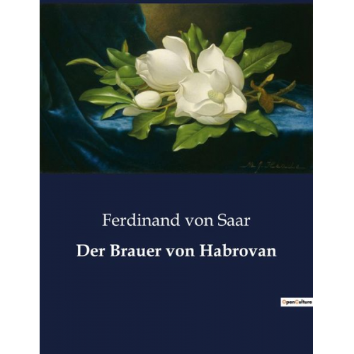 Ferdinand Saar - Der Brauer von Habrovan