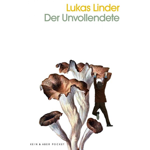 Lukas Linder - Der Unvollendete
