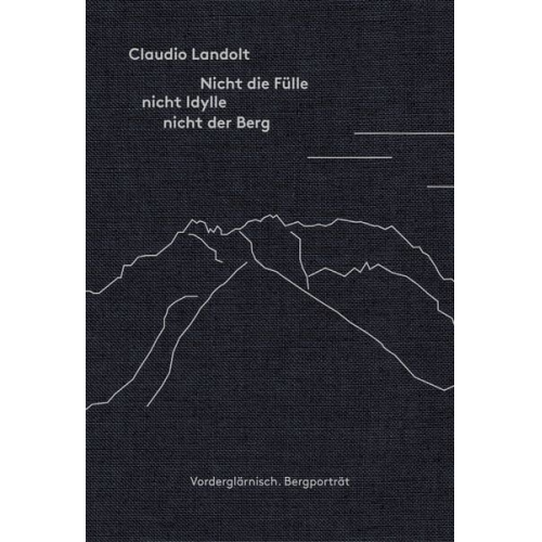Claudio Landolt - Nicht die Fülle nicht Idylle nicht der Berg