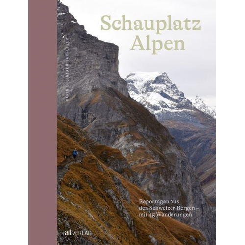 Karin Steinbach Tarnutzer - Schauplatz Alpen