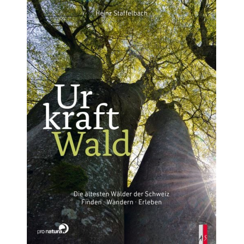 Heinz Staffelbach - Urkraft Wald