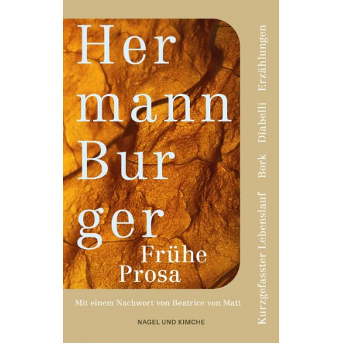 Hermann Burger - Kurzgefasster Lebenslauf und andere frühe Prosa. Bork. Diabelli