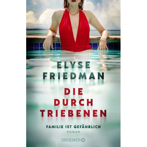 Elyse Friedman - Die Durchtriebenen