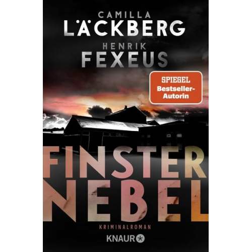 Camilla Läckberg Henrik Fexeus - Finsternebel