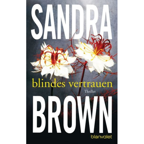 Sandra Brown - Blindes Vertrauen