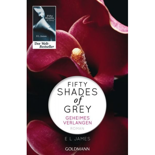 E L James - Geheimes Verlangen / Fifty Shades of Grey Band 1