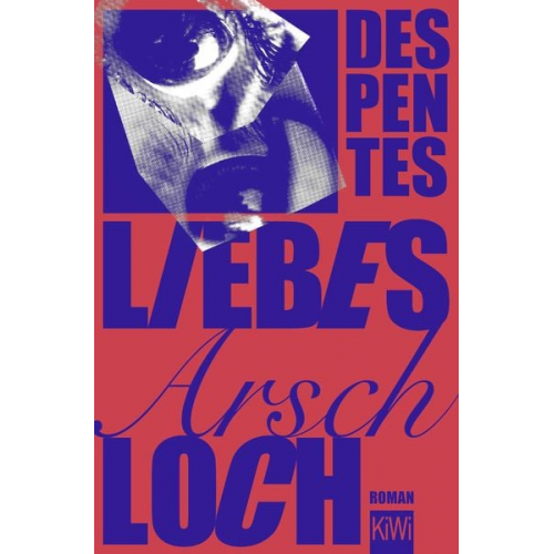 Virginie Despentes - Liebes Arschloch